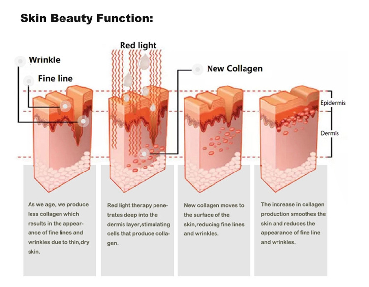 This image shows how the process of red light therapy works through science